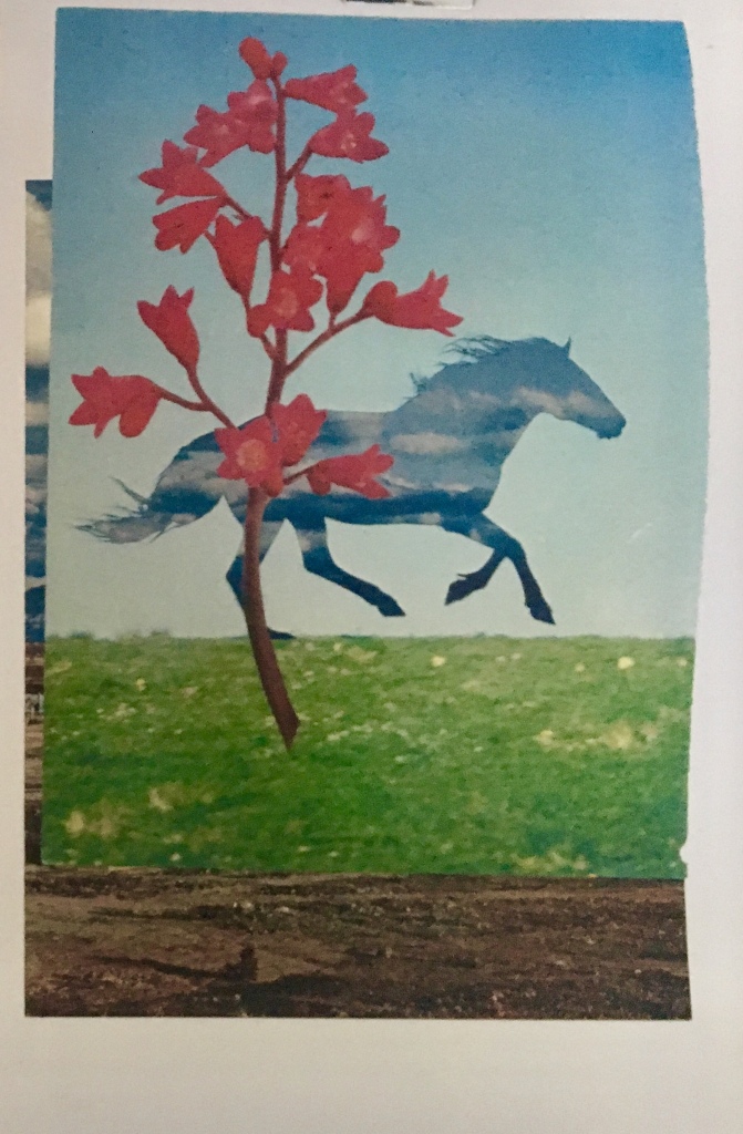 collage of pink blossoms by green grass and running horse silhouette against blue sky
