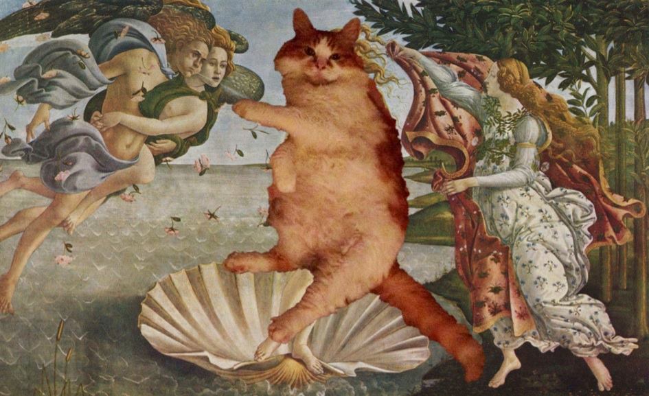 collage inserting white and orange cat into Botticelli's The Birth of Venus